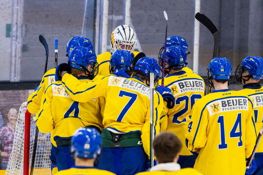 Players of Sweden celebrate