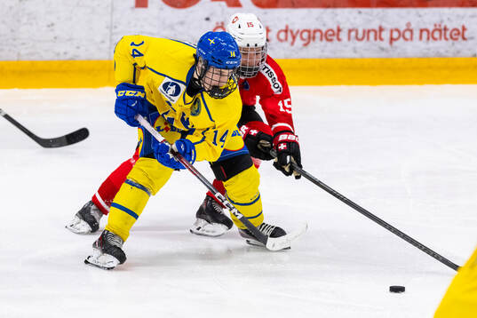 Filip Ekberg of Sweden and Jan Kneubuler of Switzerland