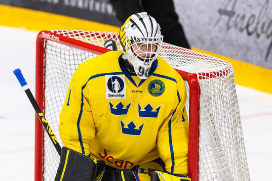 Goaltender Måns Goos of Sweden
