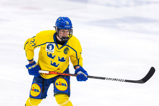 Vilmer Hagelin of Sweden