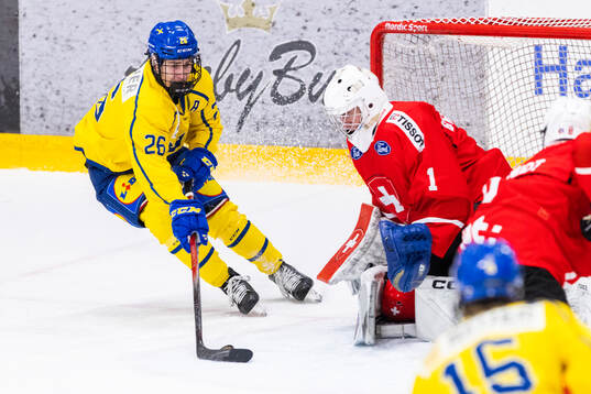 Eric Nilsson of Sweden and goaltender Matia Birchler of