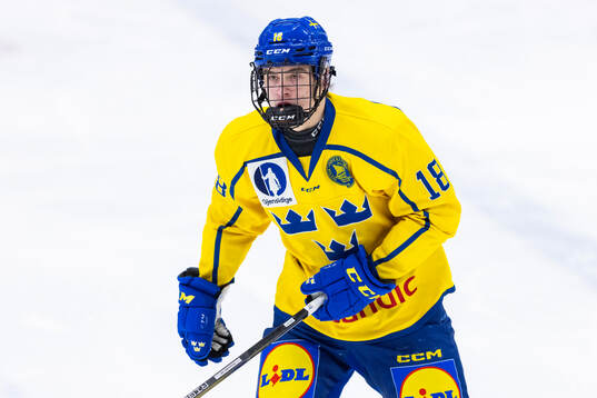 Arvid Drott of Sweden