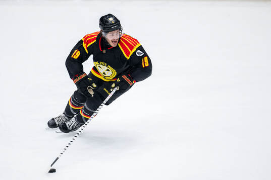 Brynäs Tyler Kelleher