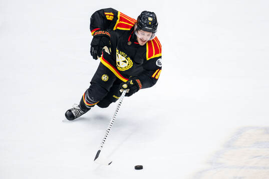 Brynäs Tyler Kelleher