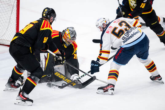 Brynäs målvakt Damian Clara och Djurgårdens David