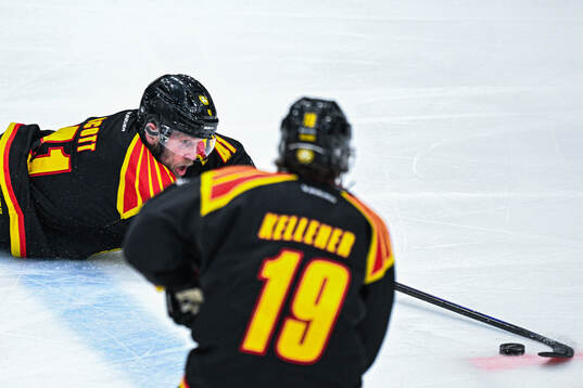 Brynäs Greg Scott