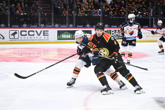 Djurgårdens Daniel Glad och Brynäs Theo Lindstein
