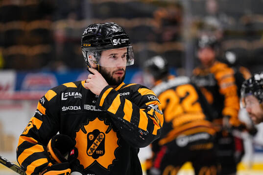 Skellefteås Martins Dzierkals
