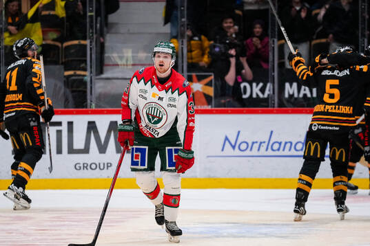 Frölundas Linus Högberg deppar