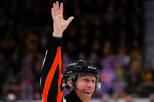 Domare Mikael Holm