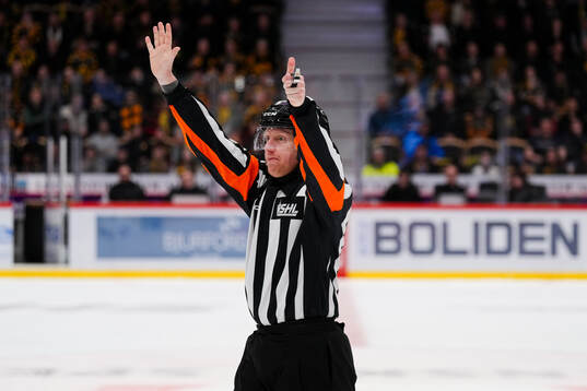 Domare Mikael Holm