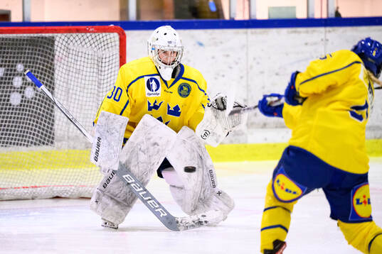 Goalkeeper Elin Löwenadler of Sweden