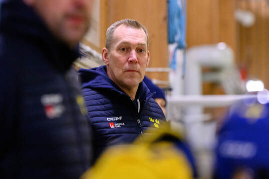 Head coach Morgan Johansson of Sweden