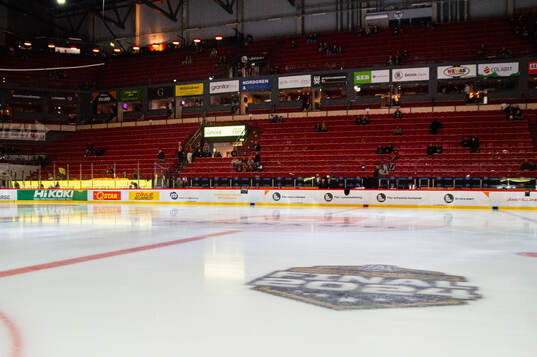 Monitor ERP Arena med Hockeyallsvenskan final logotyp på