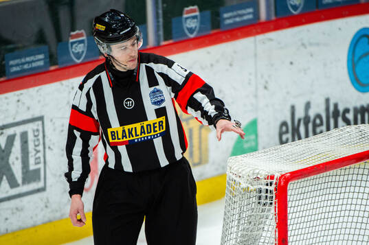 Domare Oscar Niklasson