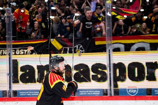 Brynäs Johan Larsson jublar