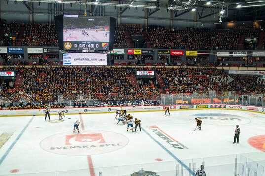 Monitor ERP Arena