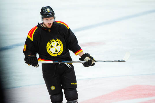 Brynäs Karlis Cukste