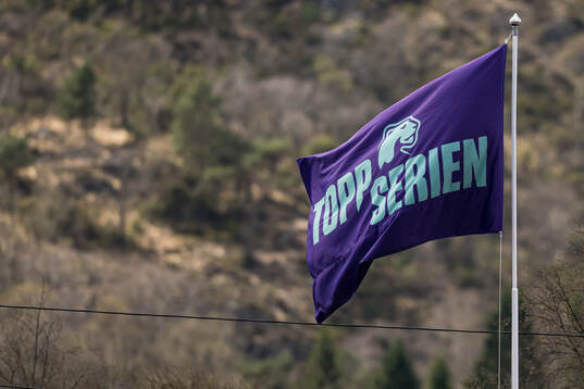 Toppserien-flag