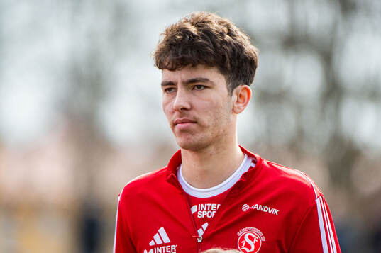 Sandvikens Adam Kiani