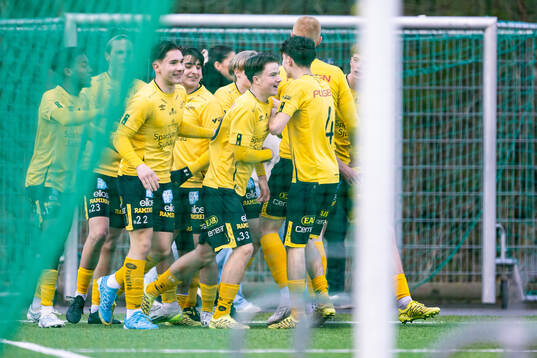 Elfsbrgs spelare jublar
