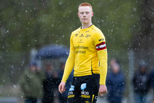 Elfsborgs Adnan Skreijelj