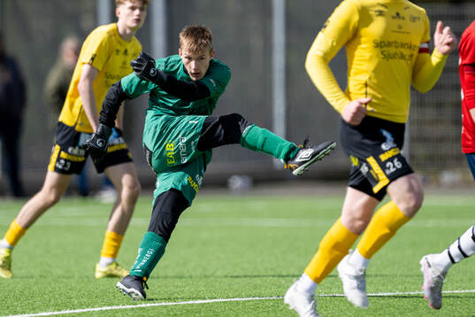 Elfsborgs målvakt James Johnson