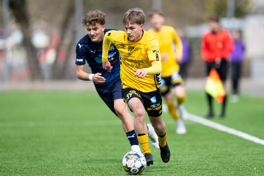 Elfsborgs Theo Eliasson
