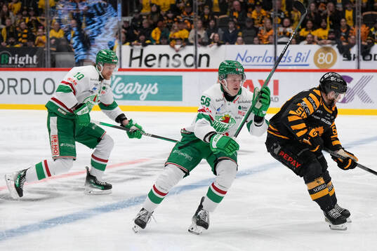 Rögles Adam Engström och Skellefteås Oskar Nilsson