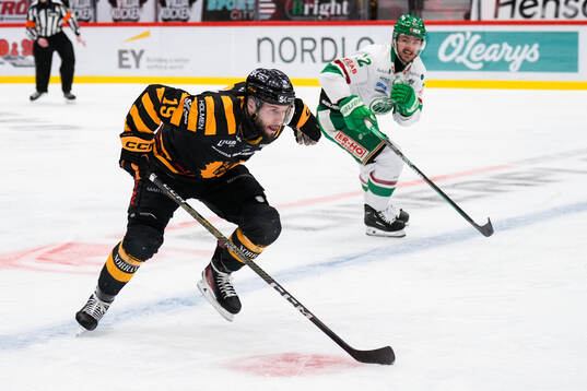 Skellefteås Martins Dzierkals