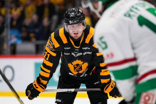 Skellefteås Max Lindholm