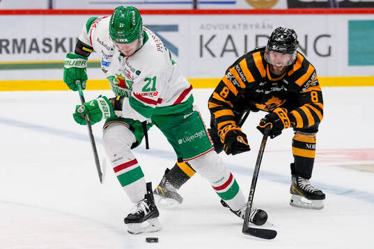 Rögles Henry Bowlby och Skellefteås Petter Granberg