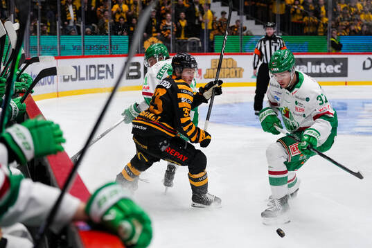 Skellefteås Zeb Forsfjäll och Rögles Albin Sundsvik