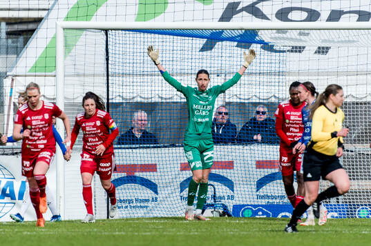 Trelleborgs målvakt Somea Polozen