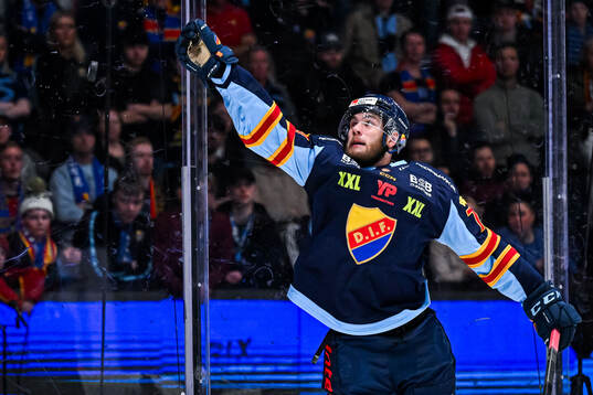 Djurgårdens Anton Gradin