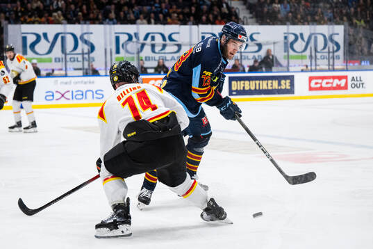Djurgårdens Anton Gradin