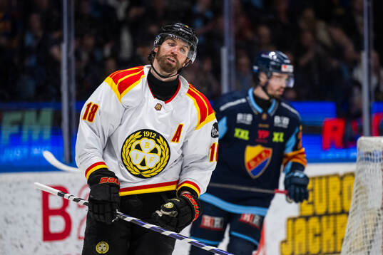 Brynäs Anton Rödin
