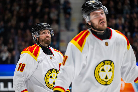 Brynäs Anton Rödin