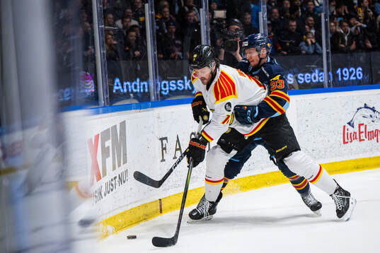 Brynäs Miks Indrasis och Djurgårdens Daniel Glad