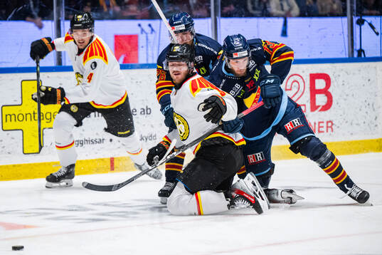 Brynäs Karlis Cukste och Djurgårdens Anton Gradin