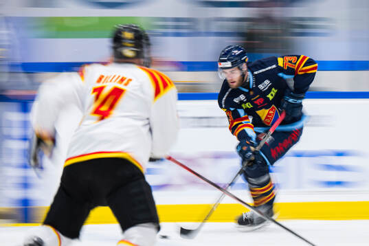 Djurgårdens Anton Gradin