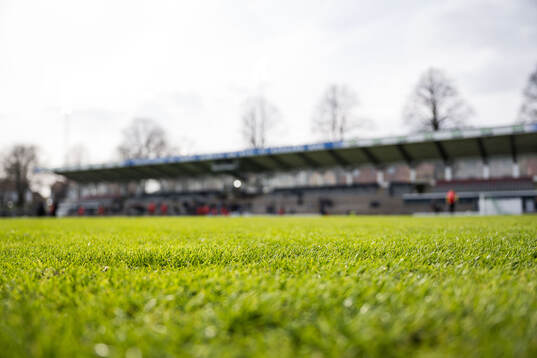 Gräset på Örjans Vall