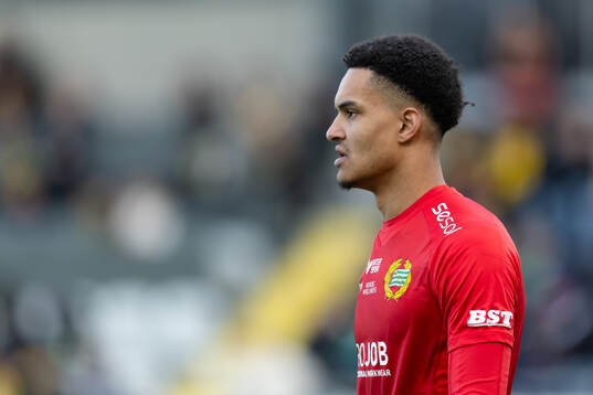 Hammarbys målvakt Oliver Dovin