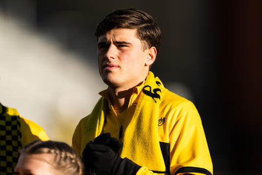 Elfsborgs Besfort Zeneli