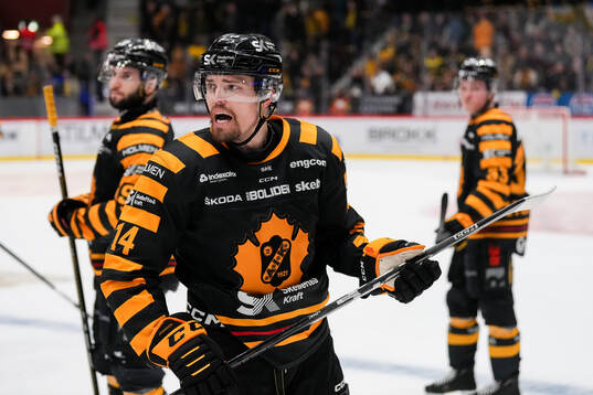 Skellefteås Andreas Johnson