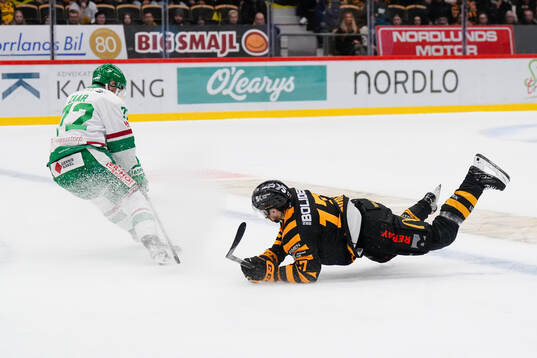 Rögles Daniel Zaar och Skellefteås Pär Lindholm