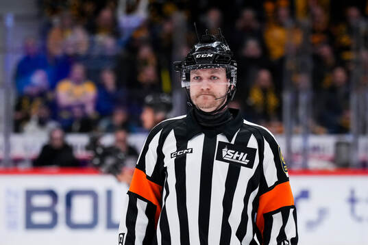 Domare Daniel Eriksson