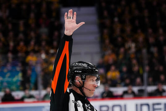 Domare Tobias Björk