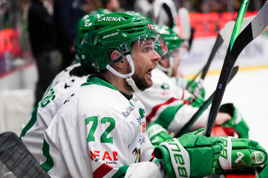 Rögles Daniel Zaar