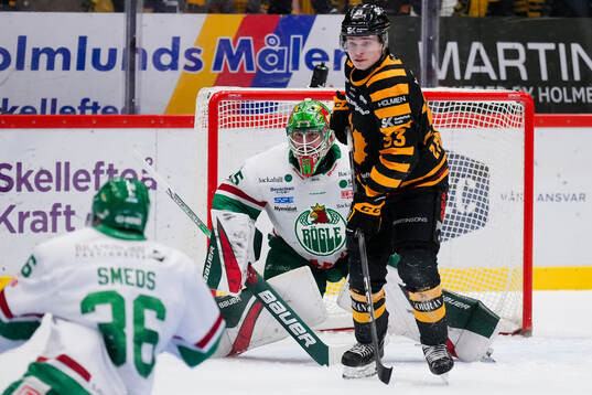 Rögles målvakt Christoffer Rifalk och Skellefteås Zeb